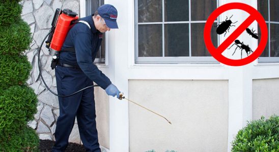 Silvan Pire İlaçlama böcek ilaçlama ve haşere kontrolü — ilaclama-tr.com